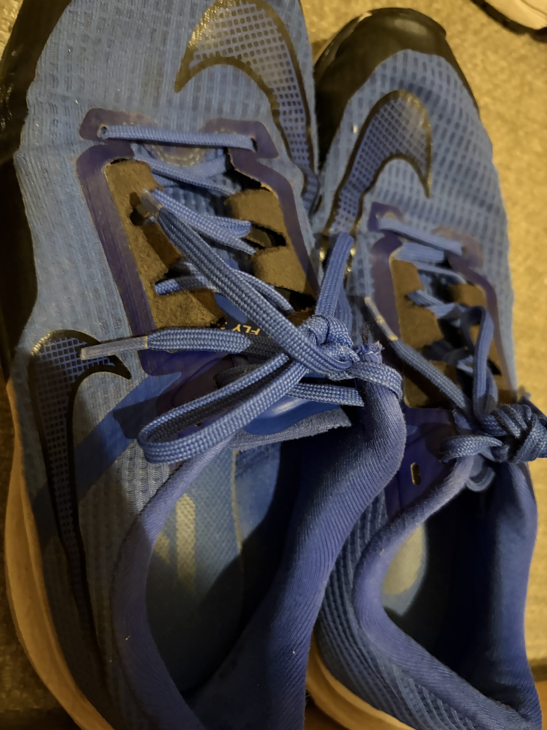 以前使用していた青色のNike Zoom Fly 5